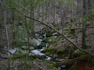 A beautiful waterfall meandering through the forest.